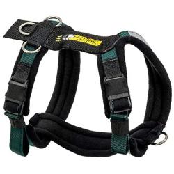 Alpine Outfitters Urban Trail Adjustable Harness