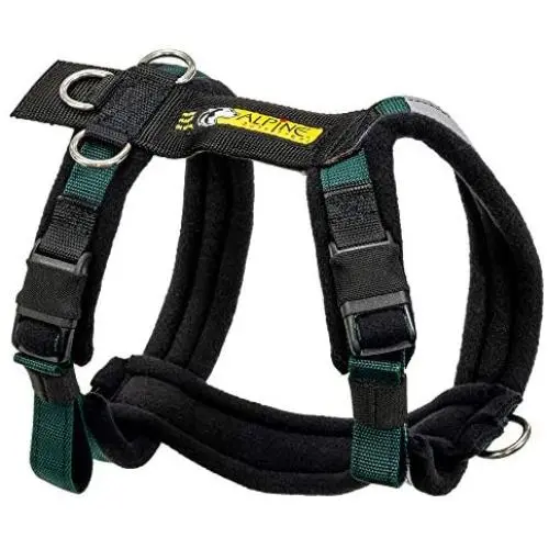Alpine Outfitters Urban Trail Adjustable Harness Alpine Outfitters Urban Trail Adjustable Harness