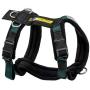 Alpine Outfitters Urban Trail Adjustable Harness