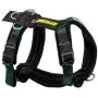 Alpine Outfitters Urban Trail Adjustable Harness Alpine Outfitters Urban Trail Adjustable Harness