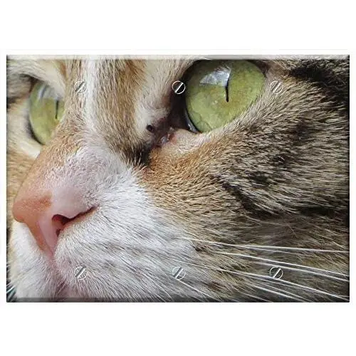 Triple Blank Wall Plate Cover - Cat Pet Cat Face Cats Triple Blank Wall Plate Cover - Cat Pet Cat Face Cats