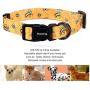 Pet Essentials Colors Classic Dog Collars, Personalized Dog Collars, Adjustable Collars for Dogs Outdoor Training Walking