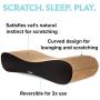 CatGuru The Infinity Scratcher