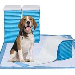 Puppy Pads, 34'' x 28'' XXL-Large, Ultra Absorbent - All Day Premium Dog Pads - 42 Count by Petphabet