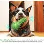 ALAIX Dog Chew Toy Durable Dog Toothbrush Toys Dental Care Teeth Cleaning Puppy Brushing Stick Tough Dog Toys for 20-70lbs Small Medium Dogs ALAIX Dog Chew Toy Durable Dog Toothbrush Toys Dental Care Teeth Cleaning Puppy Brushing Stick Tough Dog Toys for 20-70lbs Small Medium Dogs