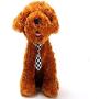 Lebbeen 10pcs/Pack,Cute Handsome Adjustable Pet Teddy Cat Dog Bow Ties Necktie
