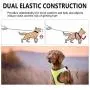 PAWISE Dog Harness No Pull Pet Reflective Mesh Soft Padded Mesh Walking Vest with 2 Leash Clips PAWISE Dog Harness No Pull Pet Reflective Mesh Soft Padded Mesh Walking Vest with 2 Leash Clips