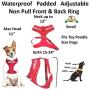 SERVICE DOG (Do Not Disturb/Dog Is Working) Blue Color Coded Non-Pull Front and Back D Ring Padded and Waterproof Vest Dog Harness PREVENTS Accidents By Warning Others Of Your Dog In Advance