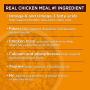 Natures Recipe Adult Dry Dog Food