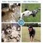 NEDOGEX Dog Rope Toys for Aggressive Chewers Medium Dogs Indestructible Tug Toy for Dogs Tough Rope for Pressure Relief and Teeth Cleaning 3 Pack NEDOGEX Dog Rope Toys for Aggressive Chewers Medium Dogs Indestructible Tug Toy for Dogs Tough Rope for Pressure Relief and Teeth Cleaning 3 Pack