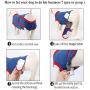 QBLEEV Recovery Suit for Dogs After Surgery, Alternative E-Collars Bandages, Professional Surgical Pet Wear Shirts for Abdominal Wounds and Skin Diseases…