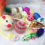 Sandulescu2975 15pcs Set Cat Toy Combination Pet Funny Stick Suit - Rings Hide Retractable Quiet Glitter Filled Rattle National Bird Real Feathers Motorized Kong Zanies Door Control Active Their G