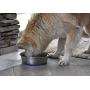 OurPets Premium DuraPet Dog Bowl