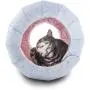 HONEY CARE K·1 N-in-1 Cat Bed, Transformable, Cat Felt Cave, Foldable, Scrach Resistant, Blue HONEY CARE K·1 N-in-1 Cat Bed, Transformable, Cat Felt Cave, Foldable, Scrach Resistant, Blue