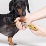 CONAIRPRO dog & cat Corded Nail Grinder