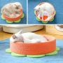 Cat Bed Small Dog Bed 12Inch Soft Flower Round Pet Beds Indoor for Cats Kitty