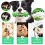 Dog Chew Toy Dog Toothbrush Chew Toys Dogs Squeaky Stick Dog Teeth Cleaning Toys for Aggressive Chewers Rubber Bite Resistant for Small Medium Large Dogs Pet Dental Oral Care