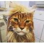 Pet Costume Dog Wig, Dog Clothes with Collar & Tie Head Wear Apparel Toy for Halloween, Christmas, Parties, Festivals
