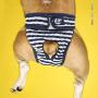 DONGXIONG Washable Female Dog Shorts Panties Menstruation Underwear Briefs Jumpsuit Pet Physiological Pant Diaper Sanitary,Blue,L