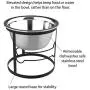 Stainless Steel Elevated Pet Bowl with Stand for Dogs and Cats-Raised Feeder for Food/Water With Removeable Dishwasher Safe Dish- 40 Oz By PETMAKER Stainless Steel Elevated Pet Bowl with Stand for Dogs and Cats-Raised Feeder for Food/Water With Removeable Dishwasher Safe Dish- 40 Oz By PETMAKER