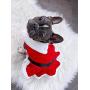 Parisian Pet Dog Cat Pet Xmas Holiday Christmas Mrs Claus and Santa Claus Winter Dress