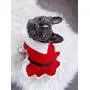 Parisian Pet Dog Cat Pet Xmas Holiday Christmas Mrs Claus and Santa Claus Winter Dress