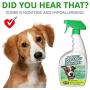 ZORBX Smell Nothing Pet Odor Remover – Safe for All, Even Pets and Children, with No Harsh Chemicals, Perfumes, or Fragrances, Stronger Safer Pet Odor Remover Works Instantly