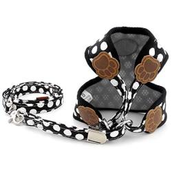 SMALLLEE_Lucky_Store New Soft Mesh Nylon Vest Pet Cat Small Medium Dog Harness Dog Leash Set