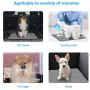 WIOR Washable Pee Pads for Dogs Extra Large, Pee Peep Pads for Dogs, 55 X 39 Dog Pee Pads XL, Non Slip Fast Absorbing Breathable and Comfortable for Housebreaking, Playpen, Crate, Kennel