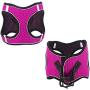 PAWDAY Dog Harness Step-in Air Pet Harness All Weather Soft Touch Mesh Vest Harness No Pull & No Choke and Escapeproof Dog Vest for Puppies, Small Medium Dogs and Large Cats