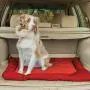 Kurgo Waterproof Dog Bed, Outdoor Bed for Dogs |Portable Bed Roll for Pets, Travel |Hiking, Camping, Wander Loft Dog Bed |Chili Red (Large), Loft Travel Bed, Large Kurgo Waterproof Dog Bed, Outdoor Bed for Dogs |Portable Bed Roll for Pets, Travel |Hiking, Camping, Wander Loft Dog Bed |Chili Red (Large), Loft Travel Bed, Large