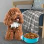 YEIRVE Crate Dog Food Water Bowls, 2-in-1 Plastic Bowl & Stainless Steel Pet Bowl, Removable Hanging Cat Food Bowls Perfect for Crates, Healthy & Hygienic Bowls Bowl.
