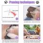 DAIRSHY Dog Nail Clippers and Trimmer - with Safety Guard to Avoid Over Cutting - Razor Sharp Blade for Thick Toenail - Professional Pet Nail Grooming Tool for Small Medium and Large Dogs, Cats
