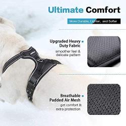 rabbitgoo No Pull Dog Harness and Leash Set with 2 Metal Clips Reflective Front Walking Harness for Small Medium Large Dogs Adjustable Padded Pet Vest Harnesses with Easy Control Soft Handle