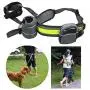 Dog Treat Pouch for Training Safe Dog Treat Waist Bags Set Pet Dog Training Essential Kit With Reflective Waist Belt And Dog Walking Strip Pet Training Bag Easily Carries Pet Toys, Kibble, Treats Dog Treat Pouch for Training Safe Dog Treat Waist Bags Set Pet Dog Training Essential Kit With Reflective Waist Belt And Dog Walking Strip Pet Training Bag Easily Carries Pet Toys, Kibble, Treats