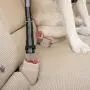 Kurgo Direct to Seatbelt Tether for Dogs | Universal Car Seat Belt for Pets | Adjustable Dog Safety Belt | Carabiner Clip | Use with Any Pet Harness (2 Pack Carabiner Clip, Grey)