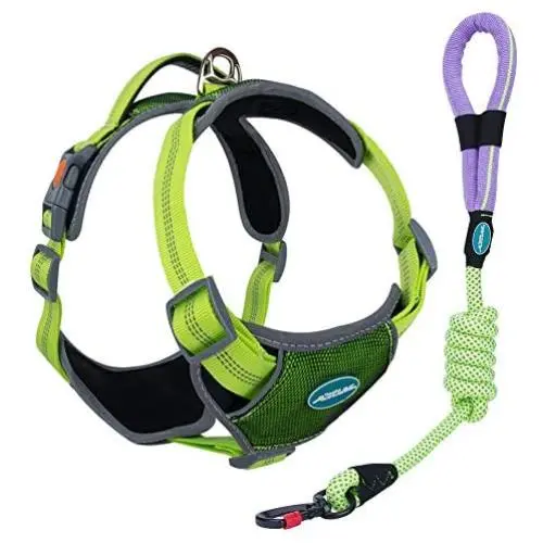 ThinkPet Upgraded Comfortable Dog Harness - Full Adjustable Reflective Vest Harness with Control Handle, Neoprene Padded Dog Vest, Unique Design Outdoor Nylon Harness ThinkPet Upgraded Comfortable Dog Harness - Full Adjustable Reflective Vest Harness with Control Handle, Neoprene Padded Dog Vest, Unique Design Outdoor Nylon Harness