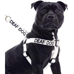 Deaf Dog White Color Coded L-XL Non pull Dog Harness Prevents Accidents By Warning Others of Your Dog in Advance