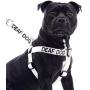 Deaf Dog White Color Coded L-XL Non pull Dog Harness Prevents Accidents By Warning Others of Your Dog in Advance