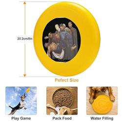 Pet Frisbee Flying Disc Dog Toy - Multifunction Street Hiphop
