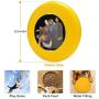 Pet Frisbee Flying Disc Dog Toy - Multifunction Street Hiphop