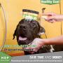 Dog Bathing Brush, Dog Shampoo Brush for Massage Dog Scrubber Cat Brushes for Grooming with Pin & Bristle, Natural Bamboo