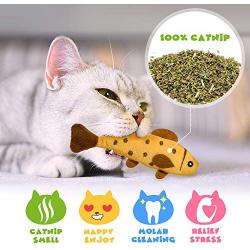 Catnip Cat Toys for Indoor Cats, 12 Pack Interactive Cat Toy with Crinkle, Squeaky, Rattle Sound, Kitten Stuffed Animal Cat Toy Set Assorted Plush Pet Toys, Cat Chew Toy for Chewing, Hunting, Teething