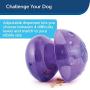 PetSafe Busy Buddy Magic Mushroom Dog Toy