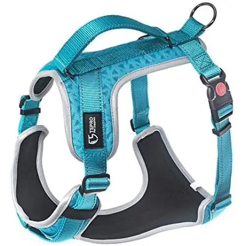 TSPRO No Pull Dog Harness with Leash Clip and Handle Adjustable Reflective Vest Easy On Dog Harness Air Mesh Dog Harness TSPRO No Pull Dog Harness with Leash Clip and Handle Adjustable Reflective Vest Easy On Dog Harness Air Mesh Dog Harness