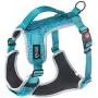 TSPRO No Pull Dog Harness with Leash Clip and Handle Adjustable Reflective Vest Easy On Dog Harness Air Mesh Dog Harness TSPRO No Pull Dog Harness with Leash Clip and Handle Adjustable Reflective Vest Easy On Dog Harness Air Mesh Dog Harness