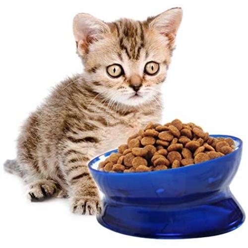 kathson Plastic Raised Cat Food Bowl Pet Feed Bowls Anti Vomiting Tilted Elevated Cats Bowl Protect Pets Spine for Small Short-Nosed Dog