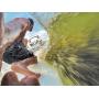 GoPro Floaty Backdoor