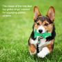 Dog Chew Toys Chew Toothbrush Teeth Cleaning Toy I Puppy Brushing Dental Oral Care for Pets, for Small Medium Large Breed
