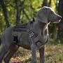 PAWDAY Tactical Dog Harness & No Pulling Front Leash Clip for Large Medium Dogs, Adjustable Dog Vest Harness for Training Hunting Walking & with Poop Bags Dispenser, Pet Bowl, Pet Car Seat Belt Leads